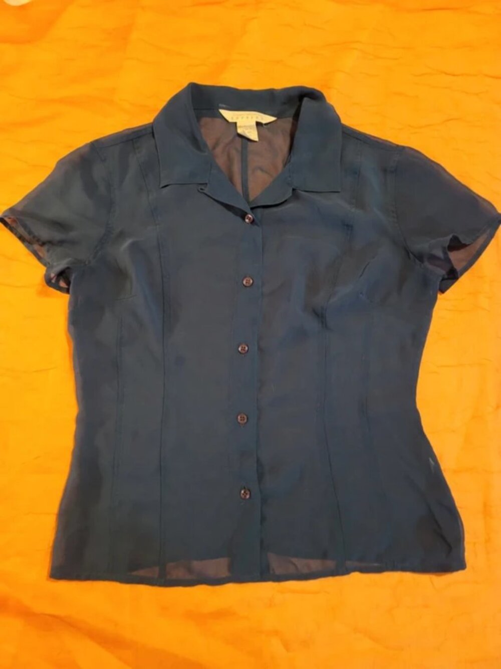 Express sheer navy blue top